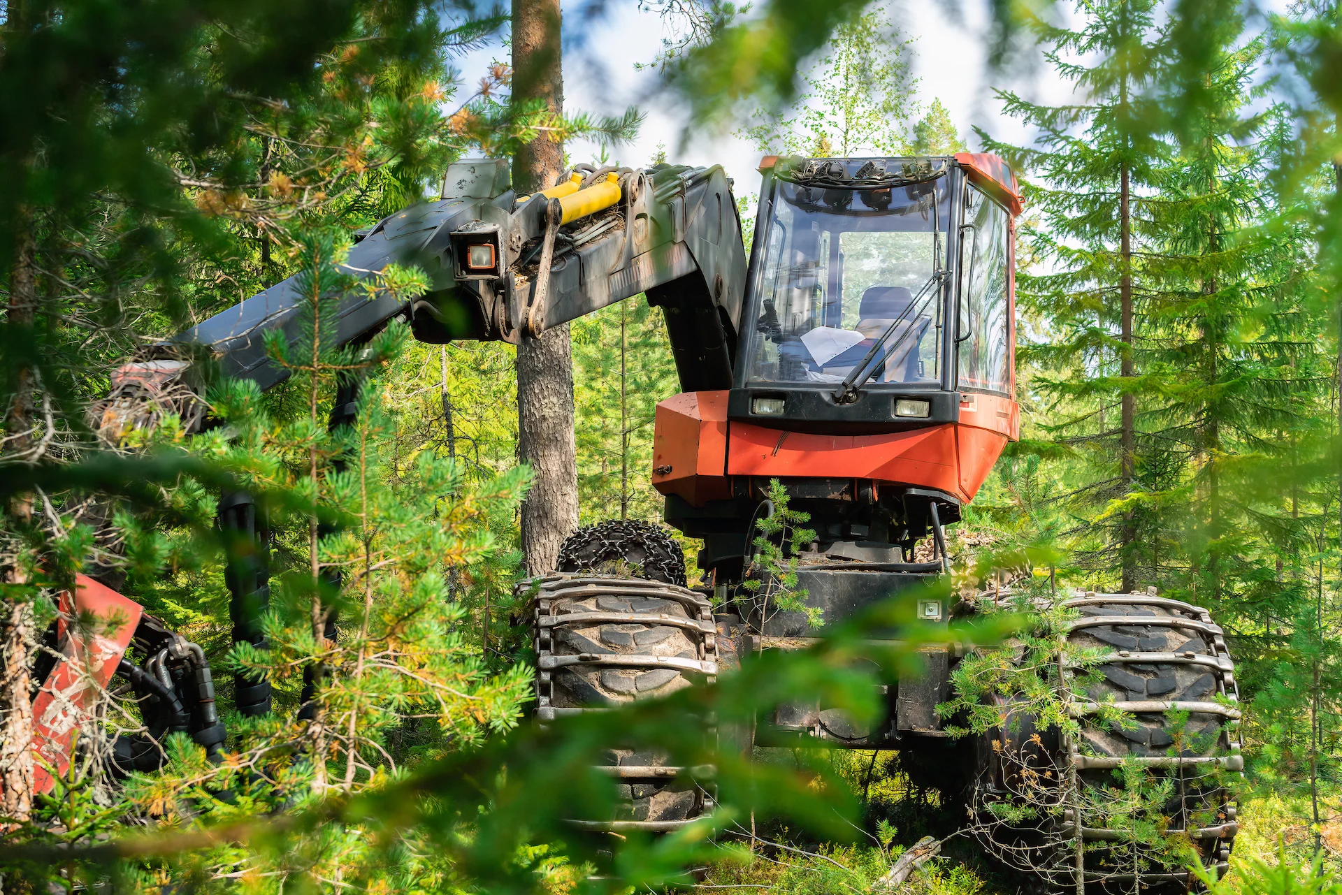 tractor cutting down trees in a thick forest